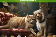 猫与狗的价格差异之谜，猫与狗价格差异的探究