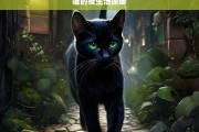 猫的夜生活探秘，揭秘猫的夜生活