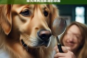 探究狗狗流眼泪的原因，狗狗为何流眼泪