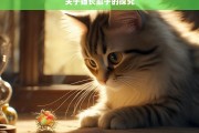 关于猫长虱子的探究，猫长虱子现象探究