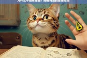 猫舔背后的健康隐患，为什么不能忽视这一行为？