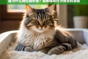 猫为什么睡在猫砂里？揭秘猫咪行为背后的原因