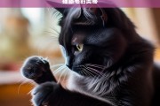 猫舔毛的奥秘，猫舔毛的奥秘探究