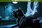 关于猫绝育手术的深度剖析，猫绝育手术深度剖析