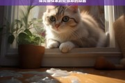 探究猫在家到处撒尿的原因，猫在家到处撒尿原因探究