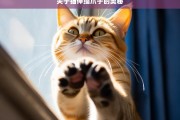 关于猫伸缩爪子的奥秘，猫伸缩爪子的奥秘探究