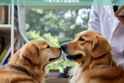 八哥犬咬人原因探究，八哥犬咬人原因剖析