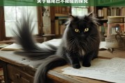 关于猫尾巴不能碰的探究，猫尾巴为何不能碰之探究