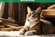 猫骨折自愈的奥秘，猫骨折自愈的秘密