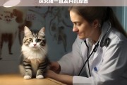 探究猫一直发抖的原因，猫一直发抖的原因探究