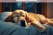 探索狗狗睡眠中叫唤的奥秘，狗狗睡眠中叫唤的原因探秘