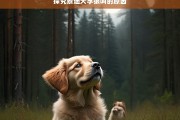 探究泰迪犬学狼叫的原因，泰迪犬学狼叫原因探究