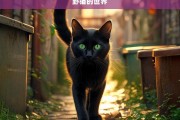 野猫的世界，野猫天地