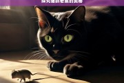 探究猫抓老鼠的奥秘，猫抓老鼠奥秘之探究