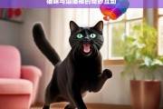 猫咪与逗猫棒的奇妙互动，猫咪与逗猫棒的趣味互动