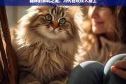 猫咪的亲昵之谜，为何喜欢在人身上，猫咪为何喜欢在人身上亲昵