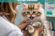 关于小猫打疫苗的重要性，小猫打疫苗的重要性不容忽视