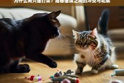 猫咪为何打架？揭秘猫界冲突与和解之道