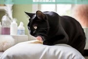 猫咪的洁癖之谜，猫咪为何有洁癖？