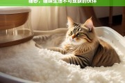 猫砂，猫咪生活不可或缺的伙伴，猫砂，猫咪不可或缺的伙伴