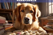 探究泰迪犬的聪明之谜，泰迪犬的聪明之谜探究