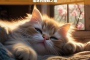 猫咪的睡眠之谜，揭秘猫咪的睡眠