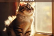 关于猫翘尾巴的奥秘，猫翘尾巴的奥秘探究