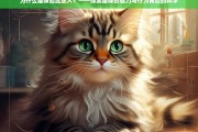 猫咪的魅力密码，科学解读迷人行为背后的秘密