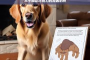 犬不能吃巧克力的原因剖析，犬为何不能吃巧克力