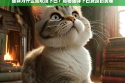 猫咪为何痴迷下巴抚摸？揭秘背后的科学原因