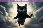 猫的高空坠落之谜，猫的高空坠落之谜探究