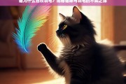 猫咪为何痴迷羽毛？揭秘它们与羽毛的奇妙联系