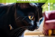 关于家猫有跳蚤的探究，家猫与跳蚤关系探究