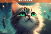 猫咪眨眼的奥秘，猫咪眨眼的奥秘揭秘