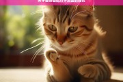 关于猫咬自己爪子原因的探究，猫咬自己爪子的原因剖析