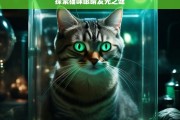 探索猫咪眼睛发光之谜，猫咪眼睛发光的奥秘探索