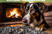 狗吃烟灰的原因解析及有效应对方法