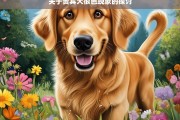 关于贵宾犬很色现象的探讨，贵宾犬的好色现象剖析