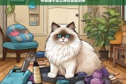 布偶猫不适合养的原因剖析，布偶猫为何不适合养