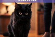 关于猫怕生人的探究，猫怕生人的原因及应对之策