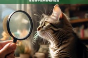 探究猫不喜欢梳毛的原因，猫为何不喜欢梳毛