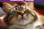 解读猫咪的情感世界，为何喜欢被摸，解读猫咪情感世界，为何喜欢被摸