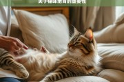 关于猫咪绝育的重要性，猫咪绝育的重要意义