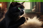 探究猫喜欢玩毛的奥秘，猫为何喜欢玩毛