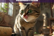 探索猫咪舔舐行为的奥秘，猫咪舔舐行为探秘