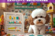 比熊犬为何长不大？揭秘小型犬的成长奥秘