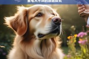 金毛犬不叫的原因探究，金毛犬为何不叫