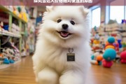 探究雪达犬价格相对便宜的原因，雪达犬价格便宜之因探究