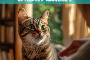 揭秘猫咪跟随行为，为什么猫总喜欢跟着人？