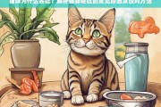 猫咪呕吐原因解析及应对方法